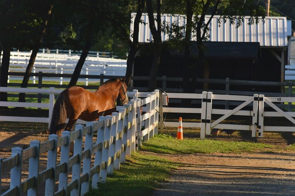 Quels hébergements en Provence proposent des ateliers de peinture et des visites de champs de lavande?